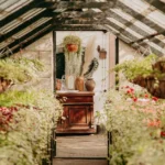 Inviting greenhouse scene with vibrant plants, wooden cabinet, and decorative elements.
