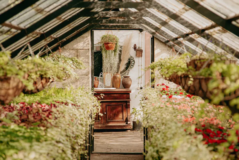 Inviting greenhouse scene with vibrant plants, wooden cabinet, and decorative elements.