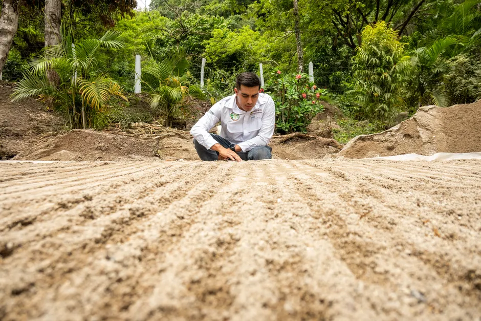 Man in a garden inspecting soil with precision, surrounded by lush greenery.