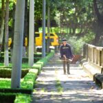 Souffleur de feuilles au jardin bio en 2026 : batterie, compost et biodiversité sans souffler n'importe quoi Person with leaf blower maintaining cleanliness in a sunlit park walkway.