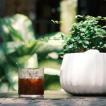 Refreshing cold drink next to a potted plant on a sunlit outdoor table.
