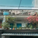Froid au jardin : hiver 2026, une gelée ne suffit pas Rustic urban balcony adorned with lush bougainvillea and assorted plants under a clear blue sky.