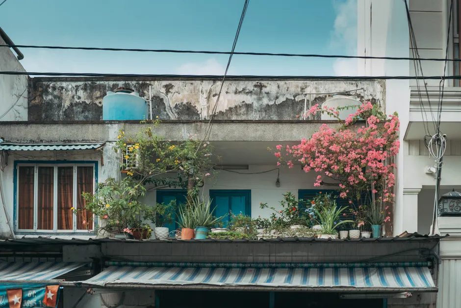 Rustic urban balcony adorned with lush bougainvillea and assorted plants under a clear blue sky.