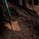 Biochar au jardin bio en 2026 : test, compost et limites Shovel embedded in dark soil, showcasing texture and gardening tools.
