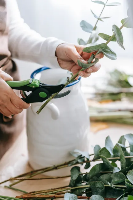 Side view of crop anonymous female florist cutting stem of green branch with pruner in workshop