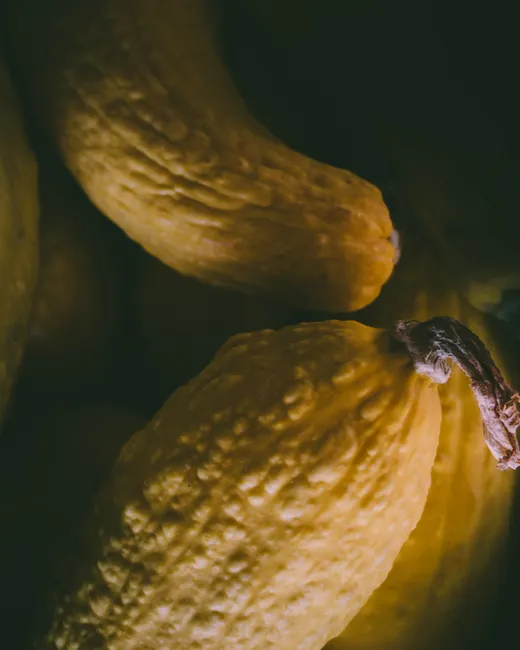 Top view of heap of whole healthy ripe butternut squashes with textured peel