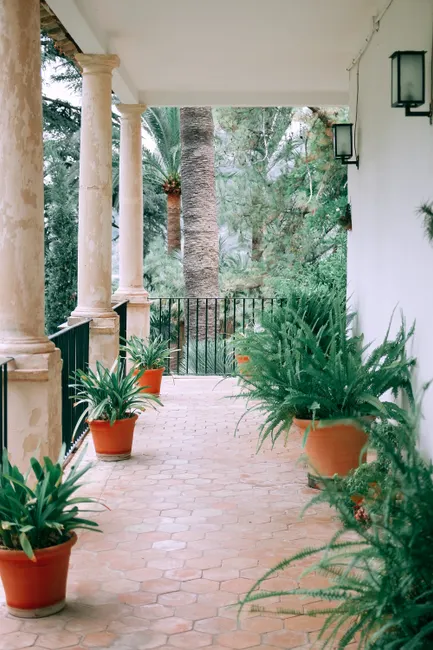 Various potted exotic plants decorating cozy columned veranda of stylish house located in tropical garden