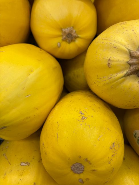 Vibrant yellow spaghetti squash in a pile, perfect for stock photography and culinary use.